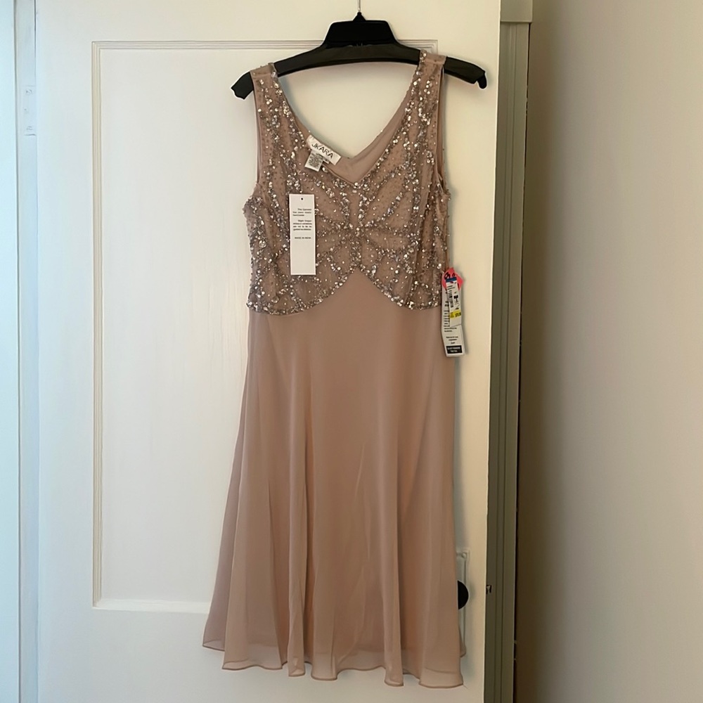 Party Dress Blush